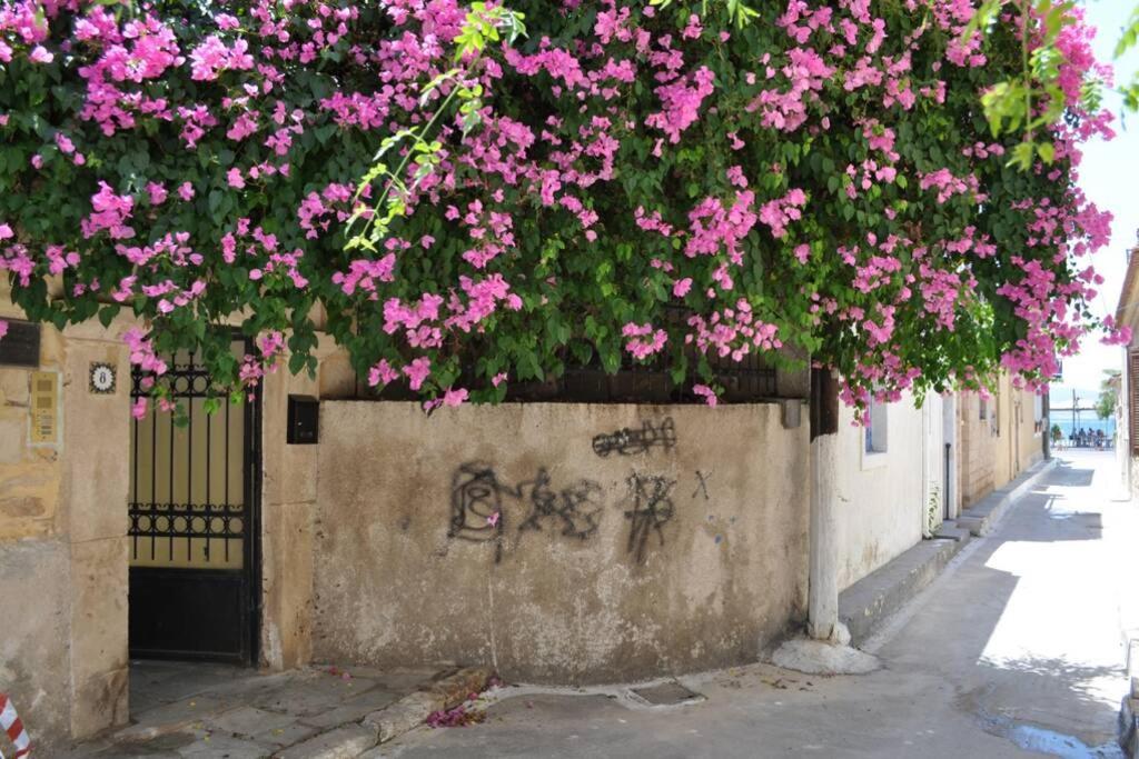 Κέντρο Αίγινα Ήσυχη Κατοικία90Τμ Δίπλα Στη Θάλασσα Exterior photo